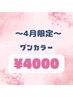 4月平日限定【オフ込み】ワンカラー¥4000