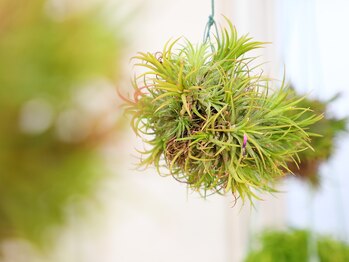 アジア整体 天白院/