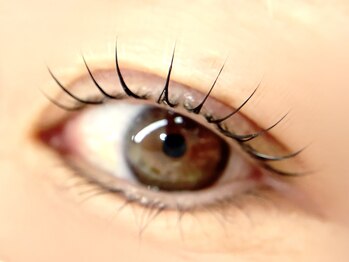 ソワ(soi.)/ブラックティントまつ毛パーマ