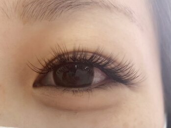 トータルビューティー ティナ(Total Beuty Tina)/メガフラットラッシュ100束