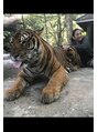 ロークマイ(LokMai)&nbsp;タイと言えば虎との記念撮影！怖かった…