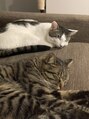 アイマジック 新宿南口店(EYE MAJIC)&nbsp;猫ちゃん大好きです！2匹一緒に住んでます♪