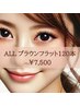 120本　ALLブラウンフラットラッシュ フラットラッシュ　7,500円(オフ込）