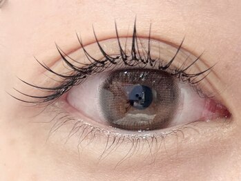 ステラ 恵比寿店(STELLA)/ナチュラルまつエク80本