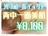 【男女】背中全面　光フォト　ボディケア　E-light高周波　¥9000→¥8100
