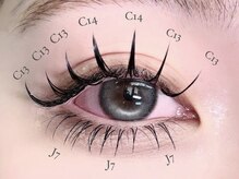 ビーナスベルト 池袋(VENUS BELT)/上下フラットラッシュ