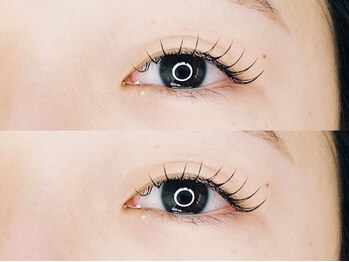 スワイディーアイラッシュ(Swaidee eyelush)/フラットラッシュ上　100本¥4900