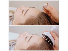 メイアルーア(Meia lua)の雰囲気(ワンランク上のヘアエイジング美容液♪白髪・抜毛・頭皮ケア◎)