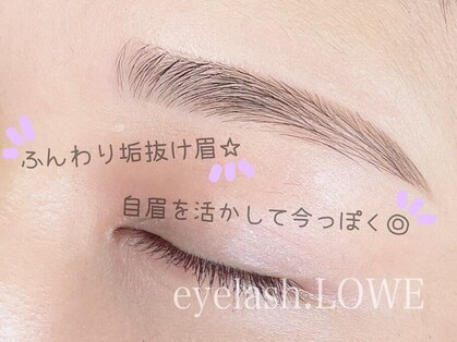 ロー(LOWE)の写真