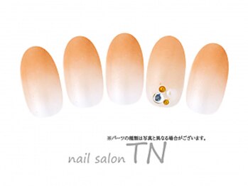 ティーエヌ TSUTAYA八戸ニュータウン店/7月☆定額3900円コース