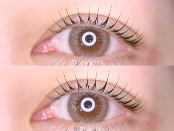 モストアイズ 武蔵小杉(most eyes)/魅力的な瞳に!【まつ毛パーマ】