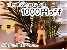 ほしねこの雰囲気（ご新規女性のお客様に限り、会計時に1000円offいたします★）
