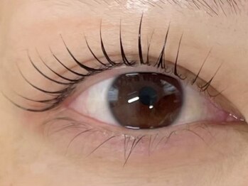 コンフィアンスアイズアンドジュエリーネイルの写真/《マスカラパーマ》マスカラを塗ったような存在感に!《上下まつ毛パーマ》や《Wフラットラッシュ》も人気♪