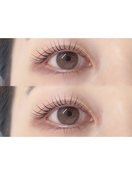 初めての方にオススメ