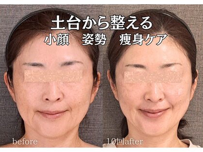 バンブー(bamboo)の写真