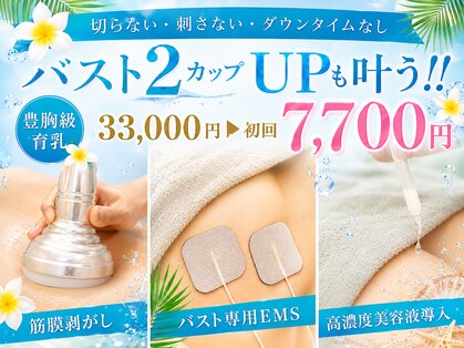 美人バスト 宇都宮店の写真