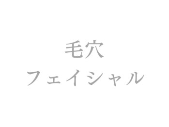 ラルミエール 緑店はなれ(la lumiere)/毛穴コース