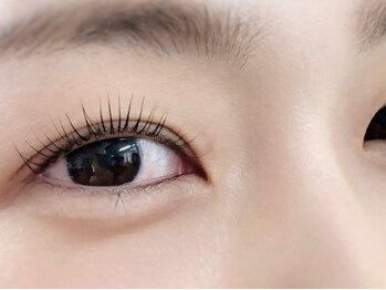 デイリー ラッシュ(DAILY LASH)/当店オリジナル★ラッシュリフト