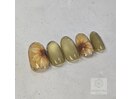 定額プレミアムコース¥11000