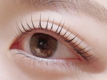 カラン 焼津店(CALIN)/ラスティングカール