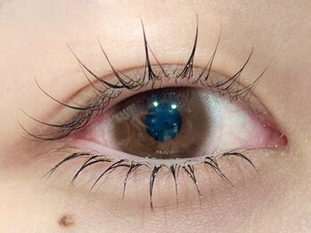 ステラ 恵比寿店(STELLA)/まつ毛パーマ&下まつ毛エクステ