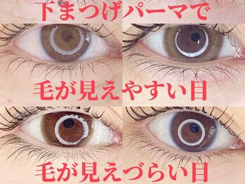 エースラッシュエヌ(A/N)/下まつげパーマが合う目は?