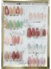 【平日限定♪】定額シンプルコース¥10320→¥6340♪土日祝+¥550