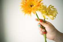 ホッコネイル(hocco nail)