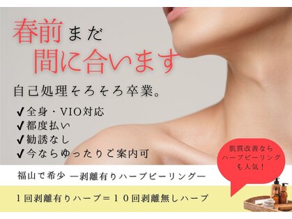 ベガ(Vega)の写真