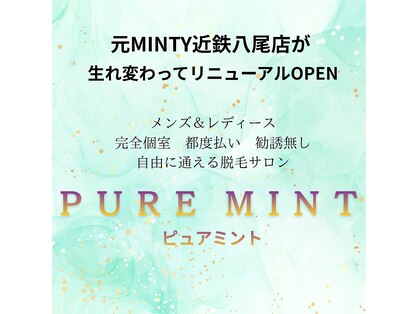 ピュアミントの写真