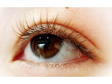 プラッカドット アイラッシュ(Placa.)/セーブル　ブラウンカラー