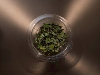 ビープラス(B-PLUS)/よもぎ蒸し/ダイエット/疲労改善