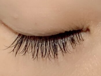 カラン 焼津店(CALIN)/フラットラッシュ100本