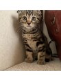 フェア 赤坂(Fair) 猫ちゃんと一緒に暮らしてます☆