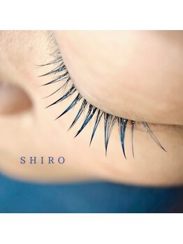 シロ(SHIRO)/LED ネイビー120