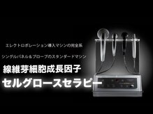 麻布十番エステティックサロン ストリシア(STRICIA)の雰囲気（特許を持つ高品質エレクトロポレーション）