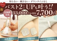 美人バスト 宇都宮店