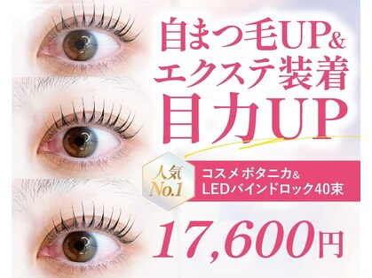 ジュエルボンド(Jewel Bond)の写真