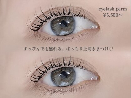 リュヌ(lune)の写真