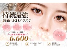 リラッシュ(Re Lash)