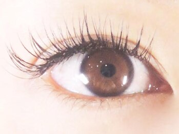 ネイルアンドまつげエクステ テラ 新宿店(Terra)/ジェル付け放題