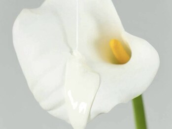 ミラ 本厚木(Mira.)/Instagram @mira_misaki