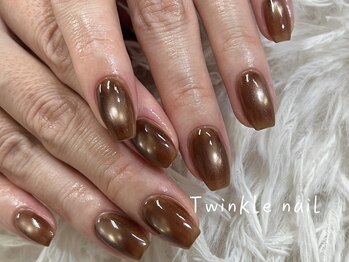 トゥインクルネイル(Twinkle Nail)/ドレンド茶色マグネットネイル