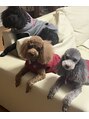 サロン ド カスケード(Salon de Cascade)&nbsp;愛犬３匹です♪