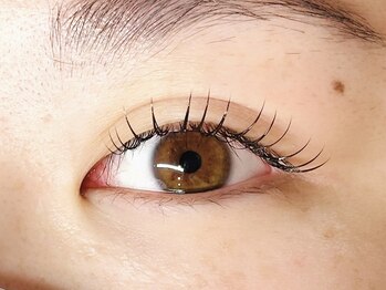 ダズル(DAZZLE)/LEDフラットラッシュ100本