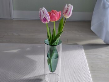 癒しの手/チューリップ