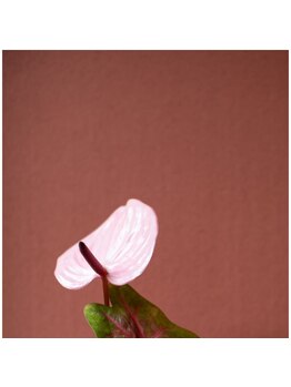 ネロリ バイ エイティスト(neroli by 8ist)/路面店［新宿/新宿駅］