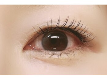 アローマ(arom)/フラットラッシュ100本