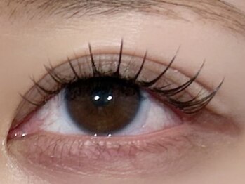 エルレ 五反田店(ELRe)/パリエク140本