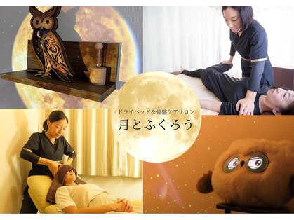 月とふくろうの写真